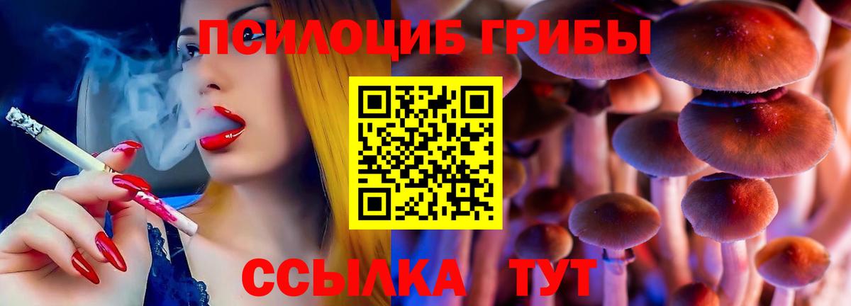 Псилоцибиновые грибы ЛСД Асино